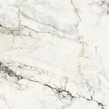 Керамогранит La Faenza Aesthetica AE PAO6 120 RM 120х120