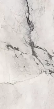 Керамогранит La Faenza Aesthetica AE CAM6 12 LPM 60х120