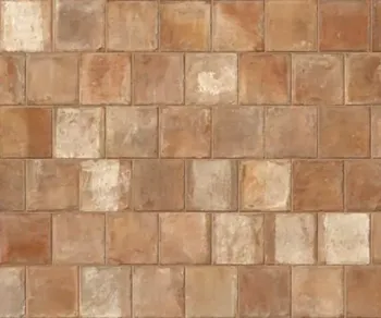 Керамогранит Imola Ceramica Trail18 TCOT TOS18 20 20х20