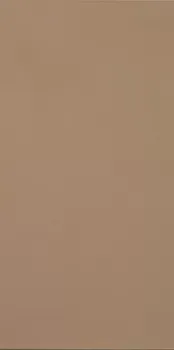 Керамогранит Casalgrande Padana R-Evolution Terra 36SC R10 60х120