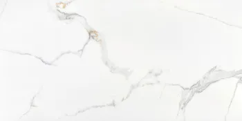 Керамогранит Neodom Classic Marble Statuario Platinum Carving 60x120 см N40019