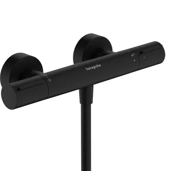 HG Ecostat Element Термостат для душа, внешнего монтажа, матовый черный