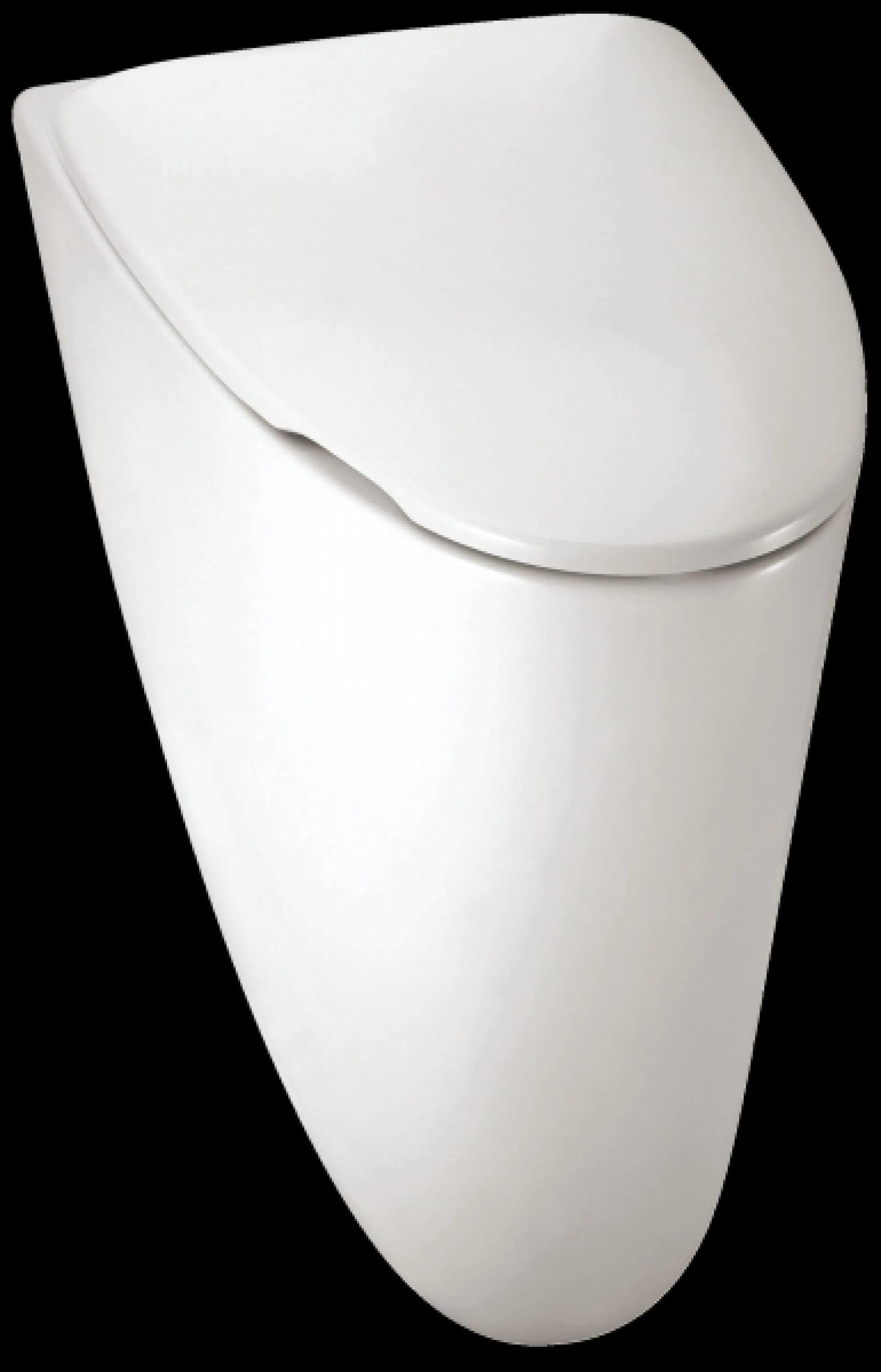 Писсуар Jacob Delafon Presquile E1161-00 с крышкой белый