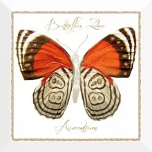 Плитка Decor Farfalla Arancione 30*30