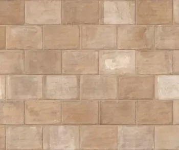 Керамогранит Imola Ceramica Trail18 TCOT EMI18 23 20х30