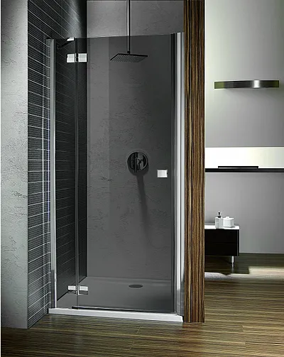 Душевая дверь Radaway Almatea DWJ 100 L 31202-01-05N