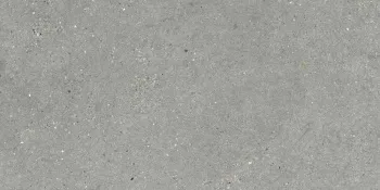 Керамогранит Grespania Mitica Gris 60x120 Rec. м2