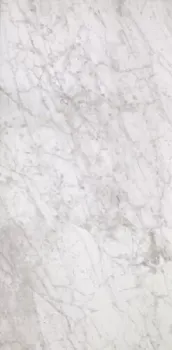 Керамогранит Casalgrande Padana Marmoker Bardiglio Bianco Lucido 36SC 59х118 2464723