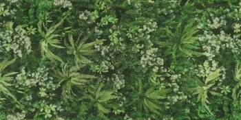 Керамогранит ABK Wide & Style Secret Garden 120х280 0009561