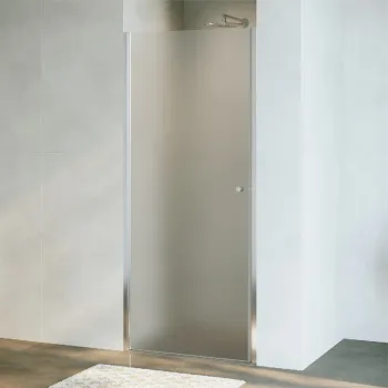 Душевая дверь RGW Dolphin распашная 90 см 54930309-101