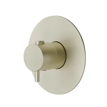 Смеситель для душа термостат Newform X-steel 316 без запорного вентиля, для 27890, PVD Brushed pale gold 67670EX.59.098