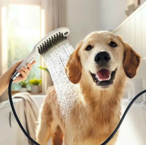 DogShower