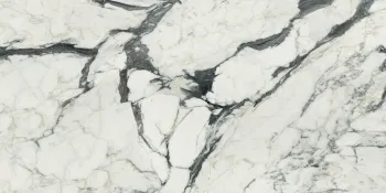 Керамогранит Rex Ceramiche Les Bijoux de Rex Les Bijoux Calacatta altissimo Glossy Rett 60х120 766330