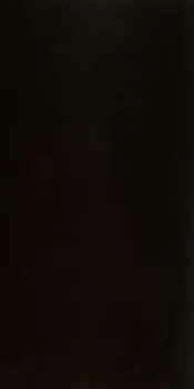 Керамогранит Casalgrande Padana Architecture Black Gloss 9,5 мм 30х60 4796548