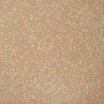 Керамогранит Casalgrande Padana Granito 3 Caracas Levigato 8.5мм 40х40