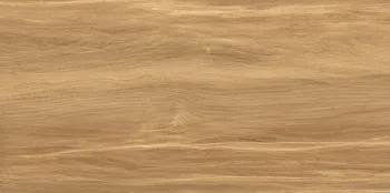 Плитка настенная AltaCera Portland Dark 249x500 WT9POT21