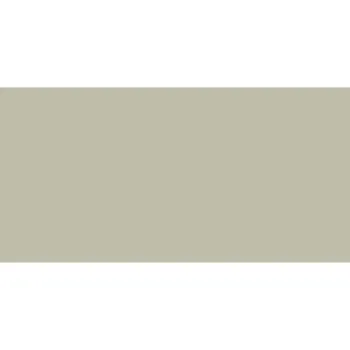 Плитка Staro Slim Monocolors Elite Mushroom 60x120 5 Matt м2