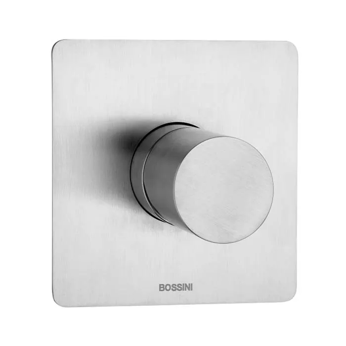 Bossini Inox Смеситель для душа на 1 выход, цвет: сталь брашированная INZ047.075