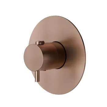 Смеситель для душа термостат Newform X-steel 316 без запорного вентиля, для 27890, PVD Brushed copper bronze 67670EX.59.067