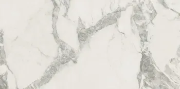 Керамогранит Coliseumgres Michelangelo Cold 60x120 см 610010002746