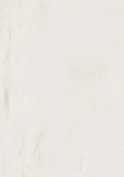 Керамогранит Emil Forme Bianco Assoluto Silktech 80x80 9