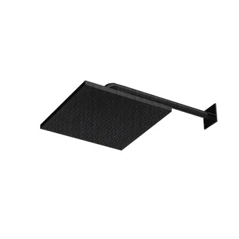 Верхняя душевая лейка Almar 30х30 без держателя, черный металл брашированный pvd E044278.AB