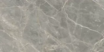 Керамогранит Rex Ceramiche Etoile de Rex ETOILE GRIS GLO RET 120х280 761728