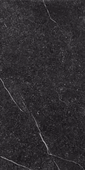 Керамогранит Imola Ceramica Genus GNS G12N LP 60х120