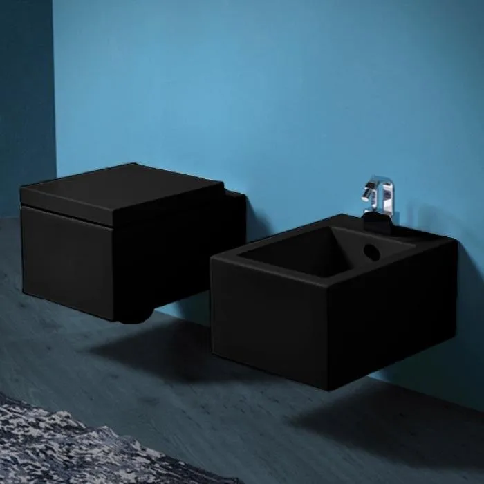 Крышка сиденье для унитаза Simas Frozen FZ 004 nero с микролифтом белый