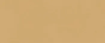 Керамическая плитка Fap True Color Caramel 50x120 50x120 см fTDS