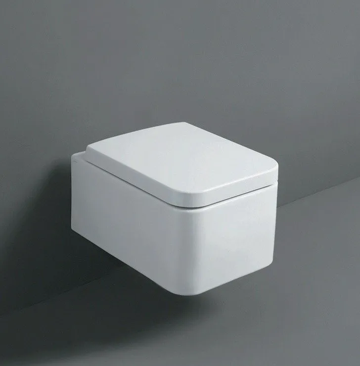 Крышка сиденье для унитаза Simas Flow FL 28* с микролифтом белый