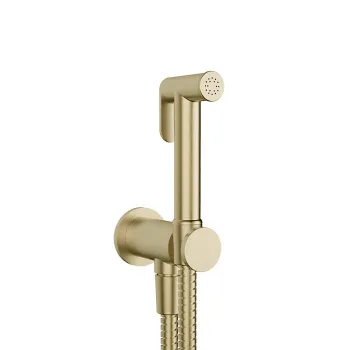 Гигиенический душ Gessi Trasparenze 14331.727 brushed brass pvd