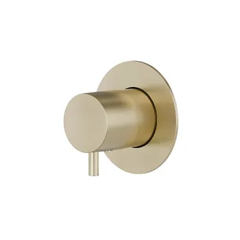 Смеситель для душа Newform X-steel 316 для 27892/27893, PVD Brushed pale gold 67671EX.59.098