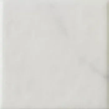 Керамогранит EQUIPE Octagon Taco Marmol Blanco 4,6х4,6 21012
