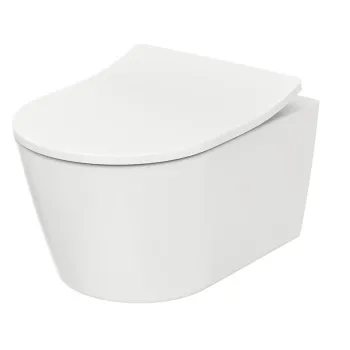 Сиденье для унитаза Toto Rp CW552Y TC513F/TC513Q slim