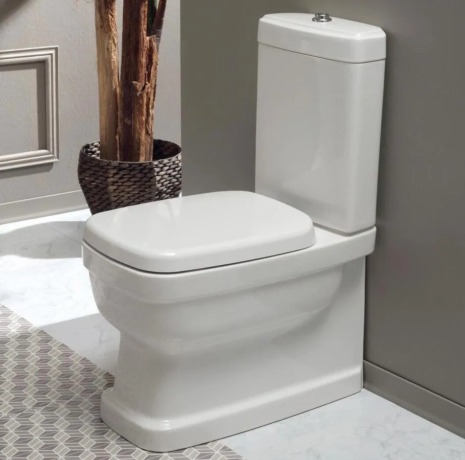 Крышка сиденье для унитаза Simas Evolution EVO003bi/cr белый