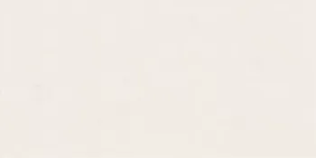 Плитка ABK Wide&Style Mini Snow Ret 60х120 PF60008228