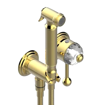 Гигиенический душ THG Najem E53-F01-5840/MBG полир золото