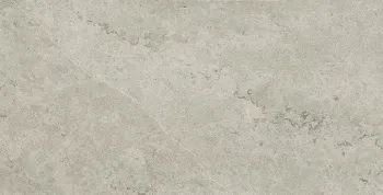 Керамогранит Италон Metropolis Absolut Silver Nat 60x120 см 610010002628