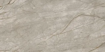 Керамогранит Atlas Concorde Russia Empire Silver Root 60x120 см 610010002187