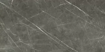 Керамогранит Rex Ceramiche Prexious Charming Amber Glossy Ret 30х60 755882