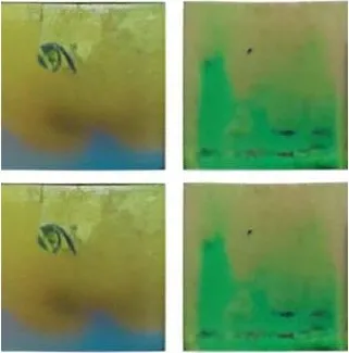 Стеклянная мозаика JNJ Gold Link 2x2 EB71 327x327