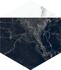 Керамогранит Villeroy&Boch 2043ZN9P Декор Nocturne Black FLPR 20х23