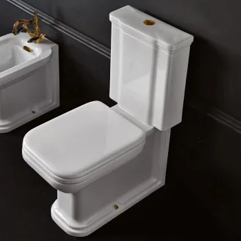 Механизм двойного слива с нижним подводом воды кнопки бронза 750993