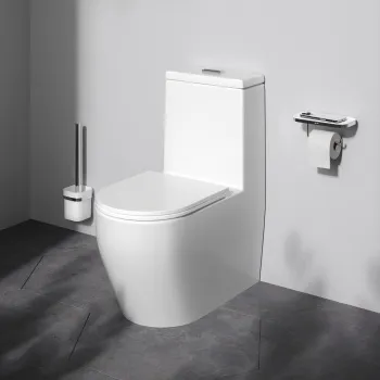 Унитаз-моноблок AM.PM Func C8F8900SC