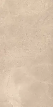 Керамогранит Imola Ceramica Genus GNS G12B RM 60х120