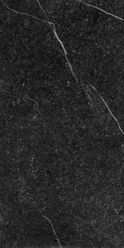 Керамогранит Imola Ceramica Genus GNS G12N RM 60х120