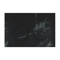 Металлическая панель смыва для унитаза TECEspring loop темный базальт S240611