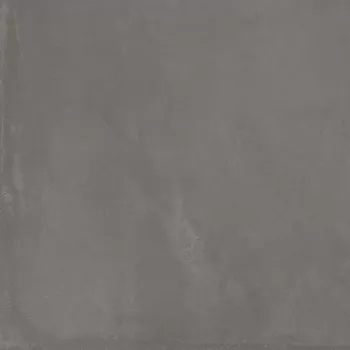 Керамогранит Imola Ceramica Azuma AZMA 60DG AS RM 60х60