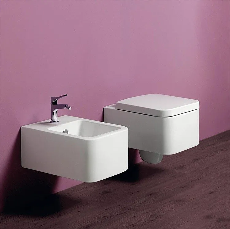 Крышка сиденье для унитаза Simas Flow FL 28* с микролифтом белый